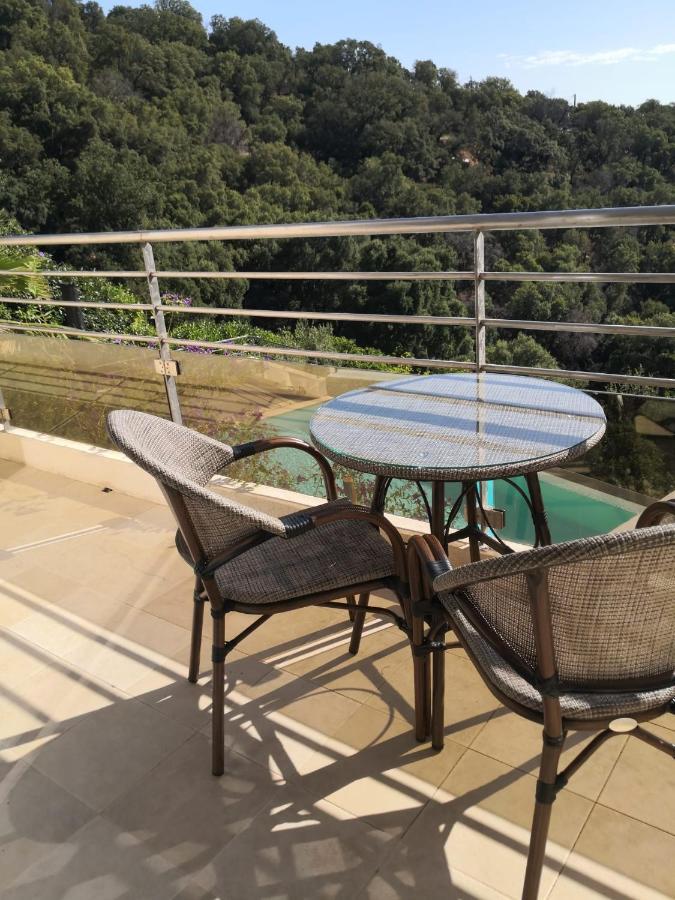 Appartement Moderne Magnifique Vue Sur Dans Cadre Calme Et Verdoyant Furiani