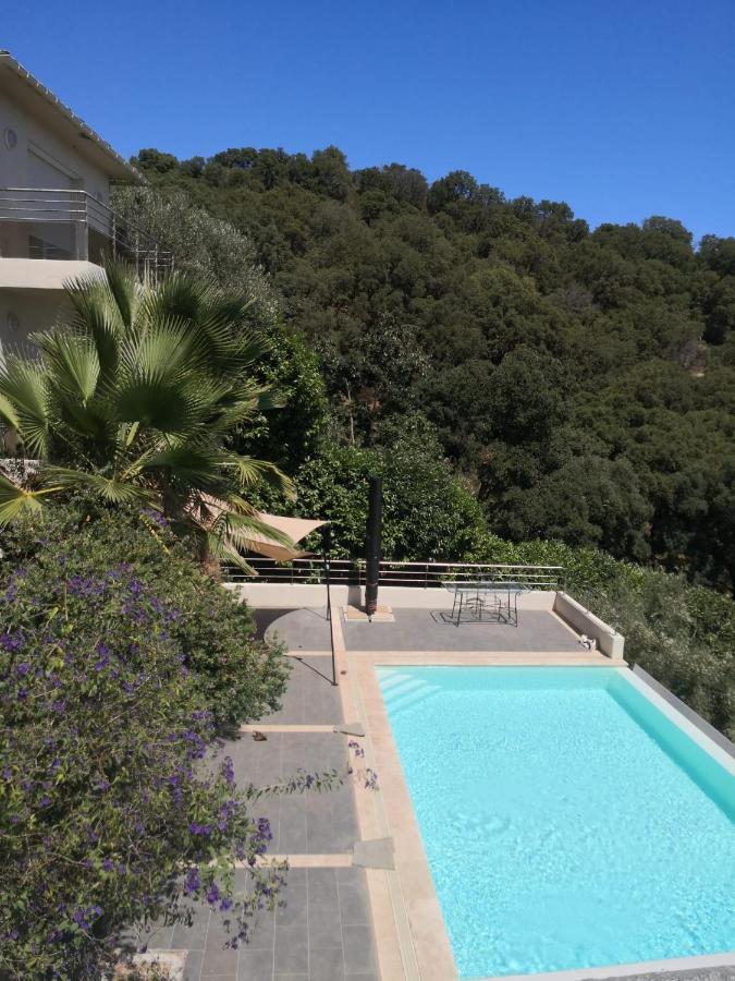 Appartement Moderne Magnifique Vue Sur Dans Cadre Calme Et Verdoyant Furiani
