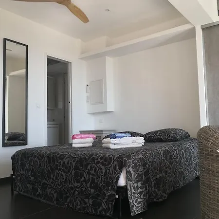 Studio Moderne Magnifique Vue Sur Mer Dans Cadre Calme Et Verdoyant Furiani Exterior photo