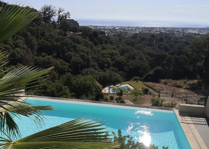 Studio Moderne Magnifique Vue Sur Mer Dans Cadre Calme Et Verdoyant
