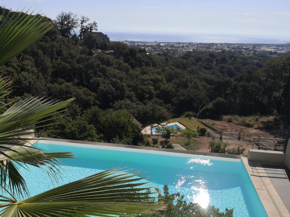 Moderne Magnifique Vue Sur Dans Cadre Calme Et Verdoyant Apartment Furiani