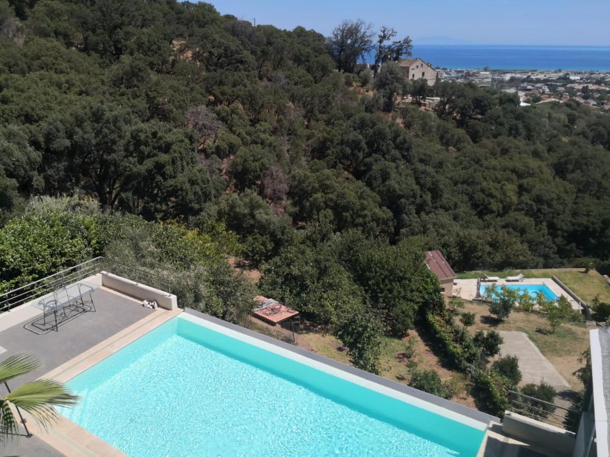 Moderne Magnifique Vue Sur Dans Cadre Calme Et Verdoyant *